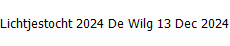 Lichtjestocht 2024 De Wilg 13 Dec 2024